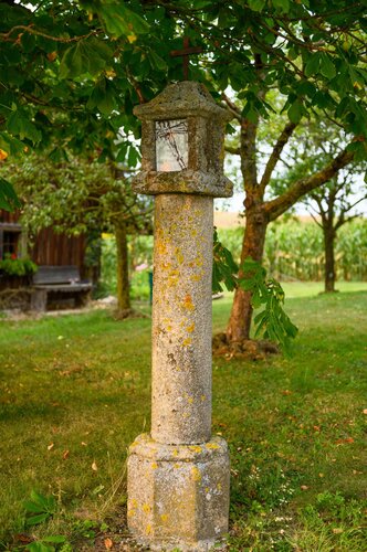 Bildstock Prof. Bischof