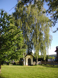 Biedererkapelle in Grünbach