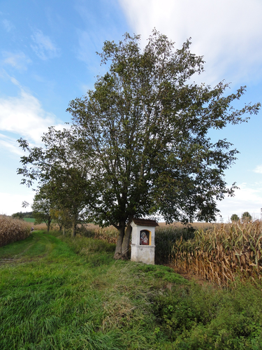 Bildstock beim Wimmer zu Fallsbach