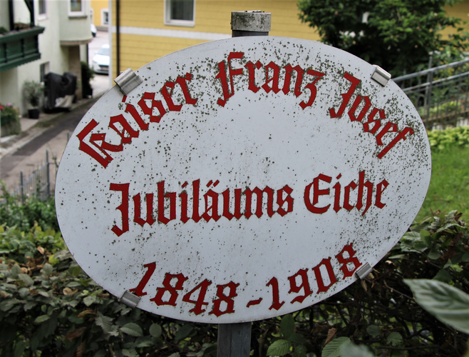 Jubiläumseiche
