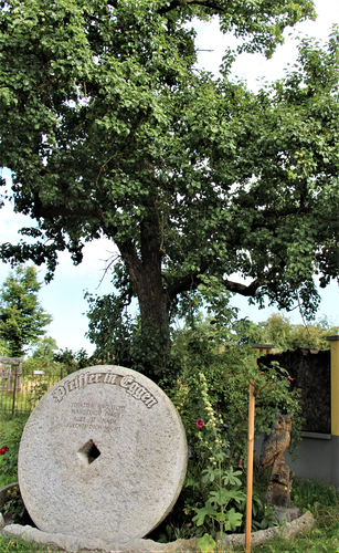 Mahlstein Untereggen