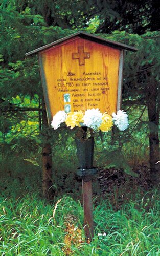 Bildkreuz Gmundnerstraße Iglseder