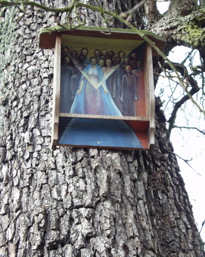 Bildbaum, Aichberg, Roithenstr, Wels | © Steinerberger