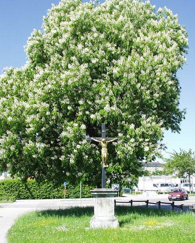 Fritschkreuz, Bauernstraße, Wels | © Steinerberger