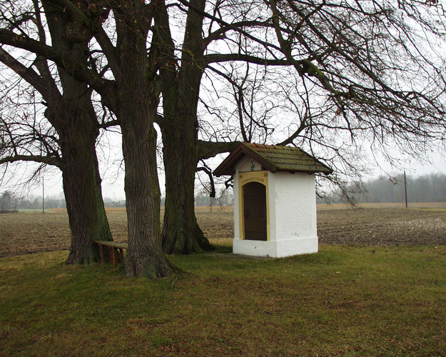 Rederkapelle, Schafwiesen, Wels | © Steinerberger