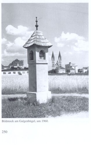 Galgenhügel, Bildstock, Römerstr, Wels | © Steinerberger