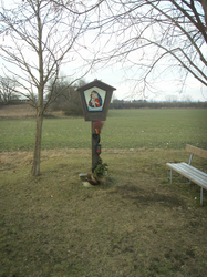 Rauniglmarterl, Schafwiesen, Wels | © Steinerberger