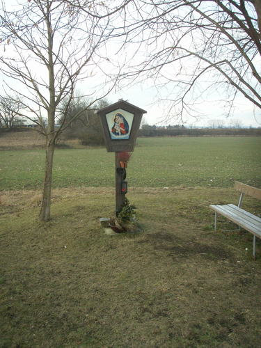 Rauniglmarterl, Schafwiesen, Wels | © Steinerberger