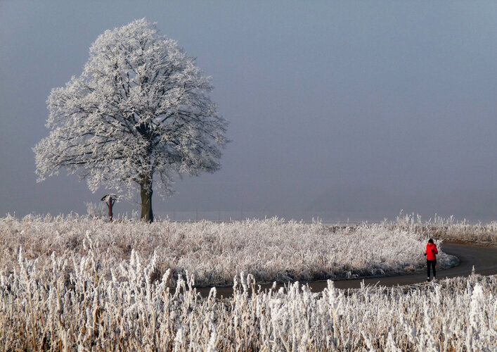Nörathner Kreuz, Ottsdorf, Thalheim b Wels