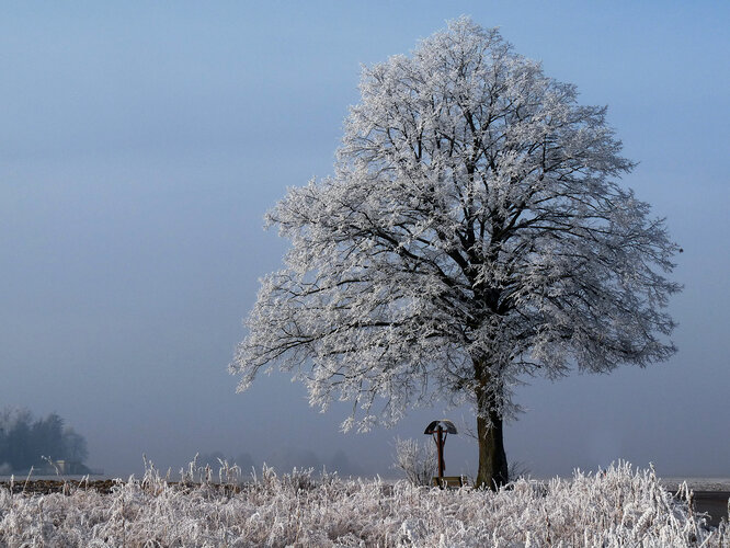 Nörathner Kreuz, Ottsdorf, Thalheim b Wels