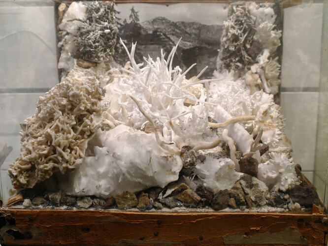 Eisenblüte im Glaskasten