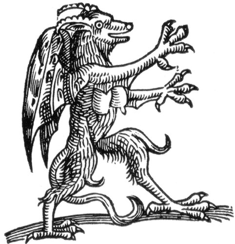 Habergeiß