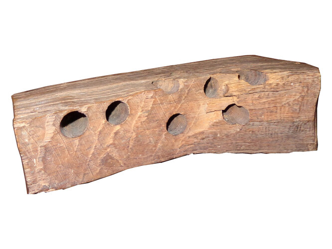 Eichenblock zum Krankheitseinkeilen