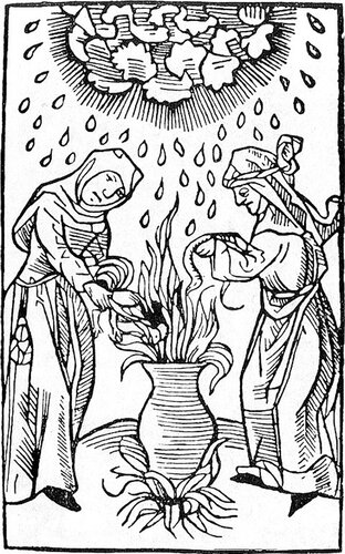 Hexen machen ein Unwetter