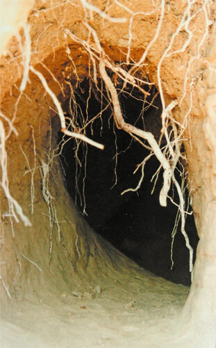 Erdstall in (Nieder)Unterstetten Nr. 5