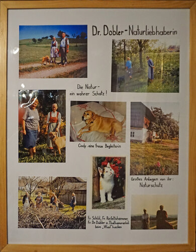 Ausstellungstafel "Dr. Dobler - Naturliebhaberin"
