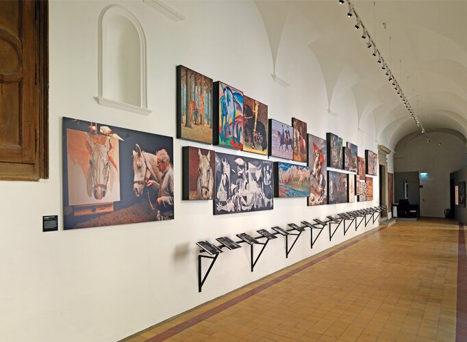 Grey Gelding | © fotostudio.at