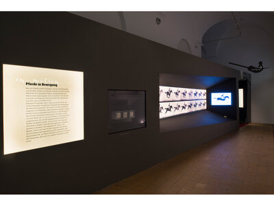Eadweard Muybridge: Pferde in Bewegung | © Pia Odorizzi