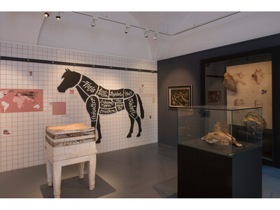 Das Pferd als Lebensmittel | © Pia Odorizzi