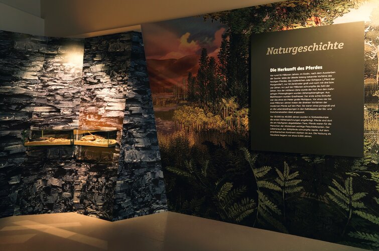 Naturgeschichte: Die Herkunft des Pferdes | © fotostudio.at