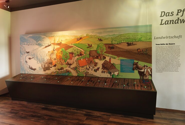 Das Pferd in der Landwirtschaft | © fotostudio.at