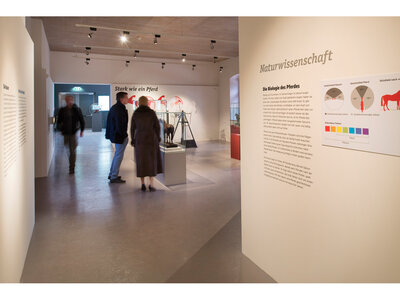 Die Biologie des Pferdes | © Pia Odorizzi