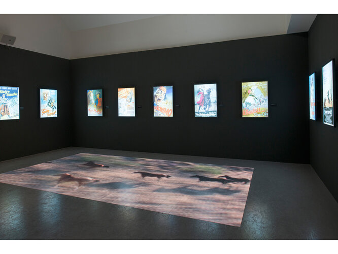 Das Pferd im "Wilden Westen" | © Pia Odorizzi