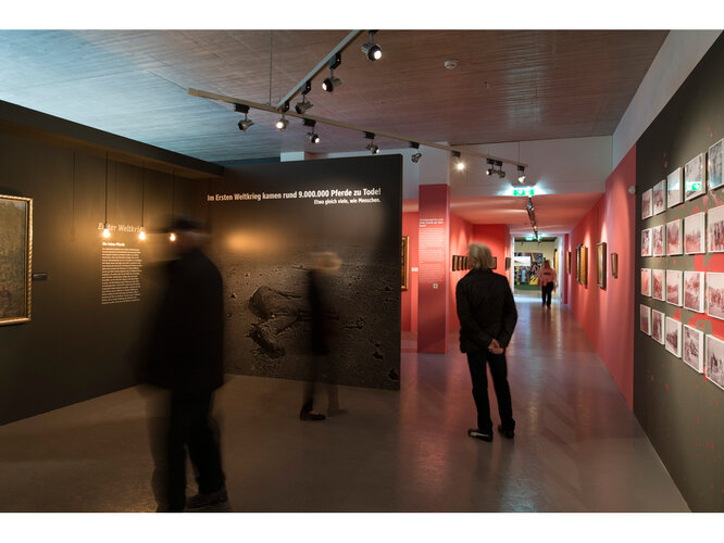 Pferd und Krieg: Erster Weltkrieg - Die toten Pferde | © Pia Odorizzi