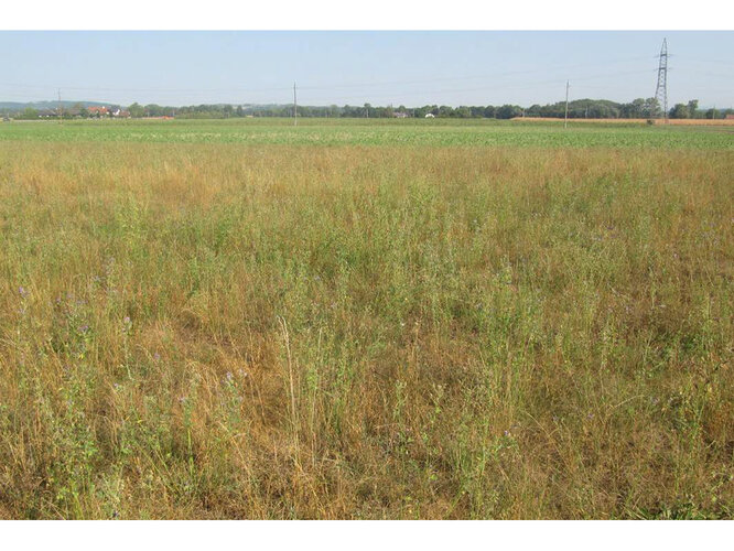 Grenzgrundstück zum früheren Kriegsgefangenenlager