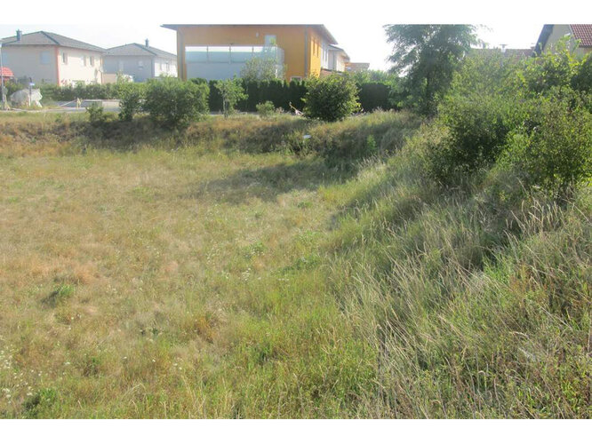 Aufgelassene Schottergrube in Marchtrenk