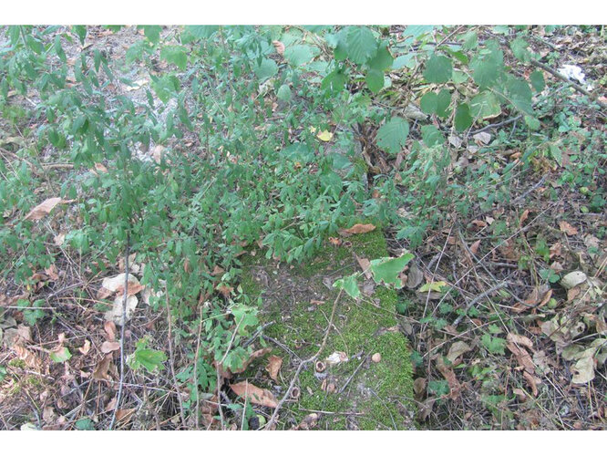 Fundamente ehemaliger Baracken