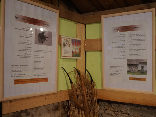 Blick in die Ausstellung