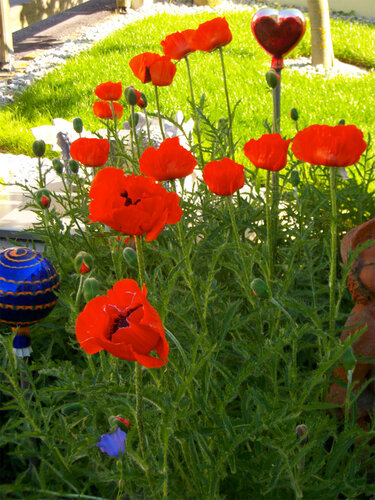 Juli | © Freilichtmuseum Pelmberg