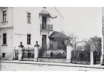 Reichetseder Muckenschnabl Weisshaar