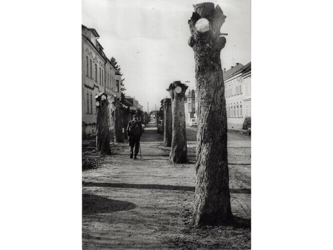 Bahnhofstraße mit Allee