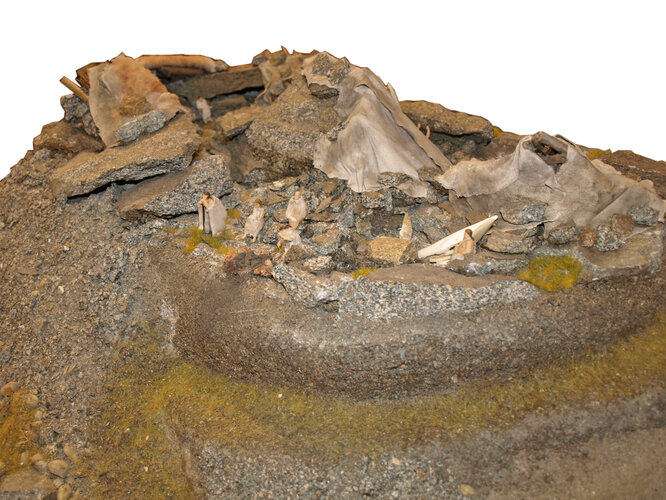 Archäologisches Modell: "Die Berglitzl bei Gusen"