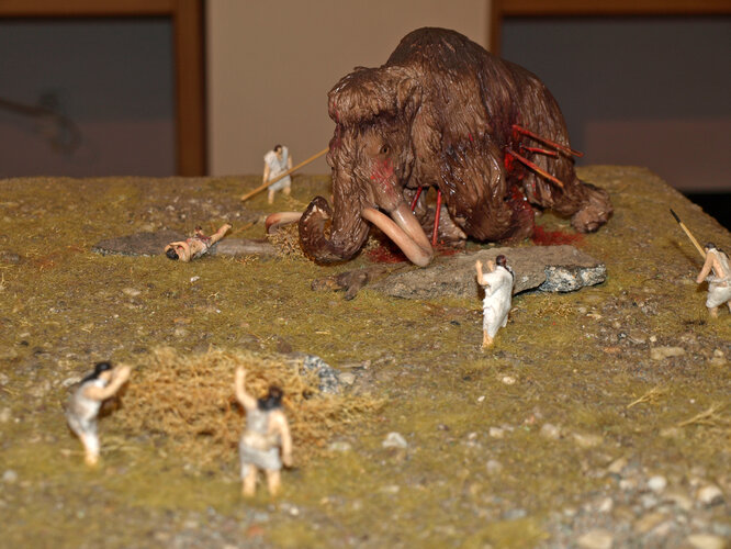 Archäologisches Modell: "Die Berglitzl bei Gusen"