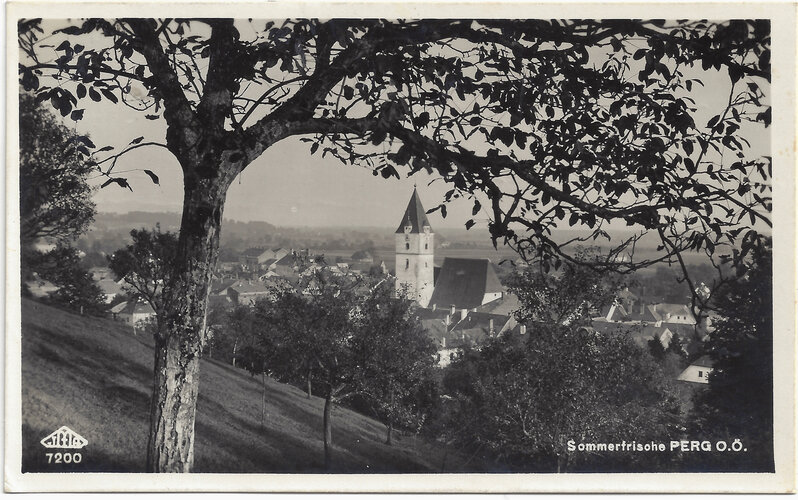 Perg vom Kalvarienberg