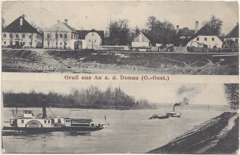 Au an der Donau