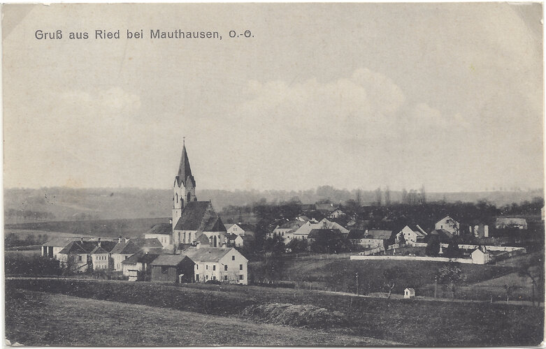 Ried in der Riedmark