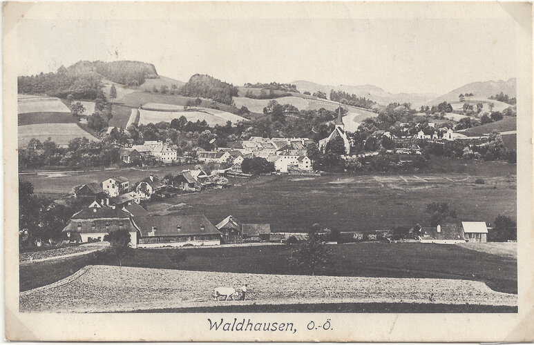 Waldhausen im Strudengau