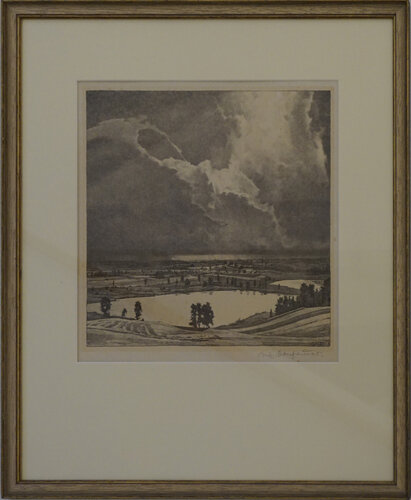 Moorlandschaft „Ibmer Moor“