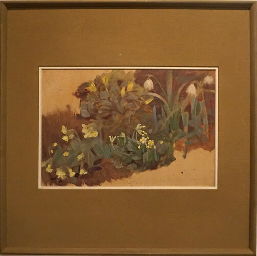 Schlüsselblumen und Schneeglöckerl