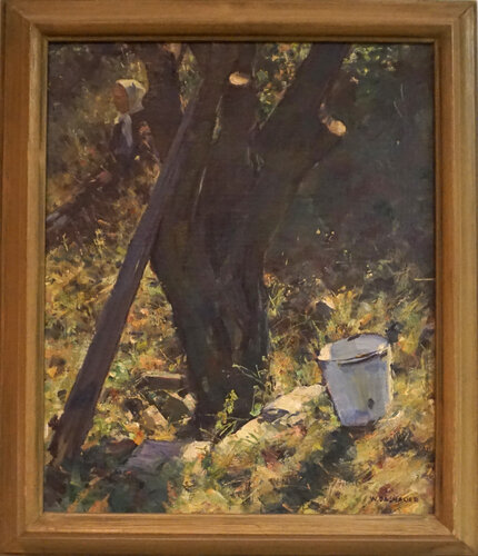 Marillenbaum mit Eimer