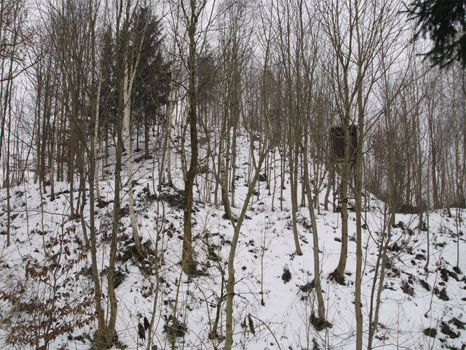 Burghügel der Burg Polheim