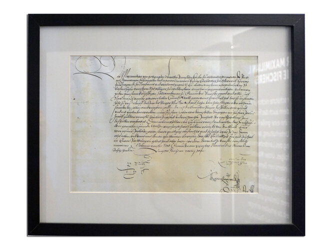 Reiherjagd in Vöcklamarkt