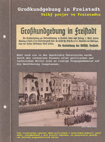Ausstellungstafel: Großkundgebung in Freistadt
