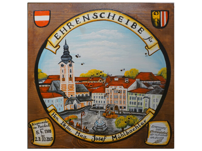 Schützenscheibe und Ehrenurkunde (2008)