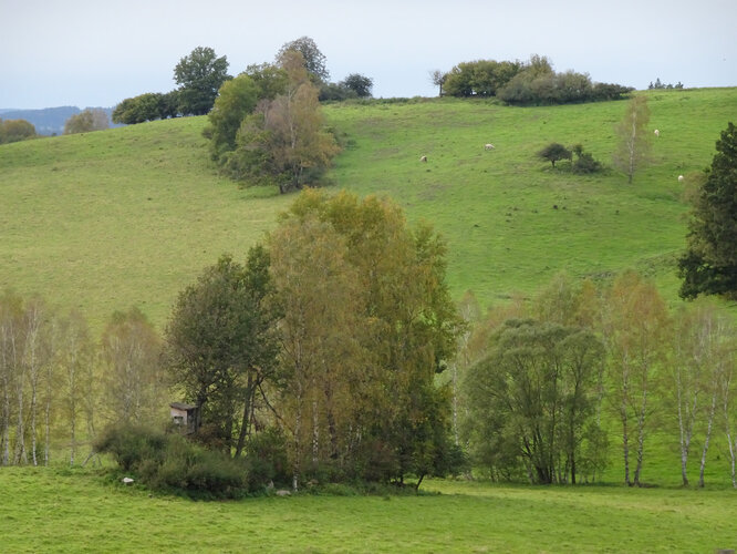 Zettwinger Impressionen / Cetvinské imprese