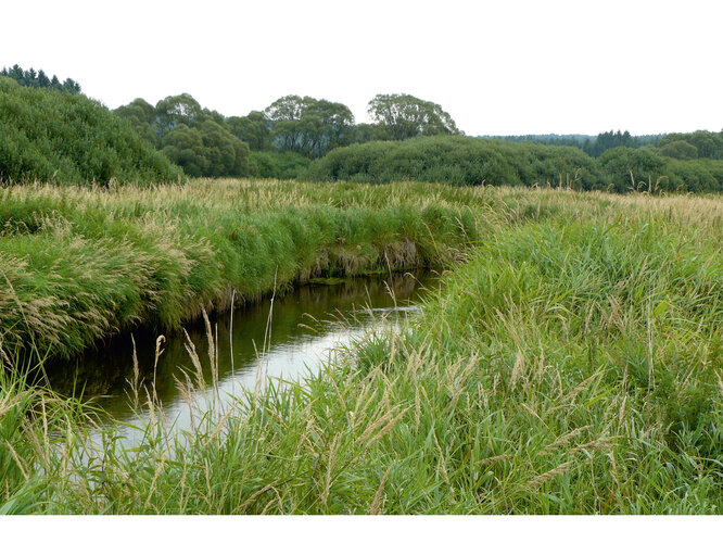 Das „Grüne Band Europas“ / "Zelený pás Evropy"